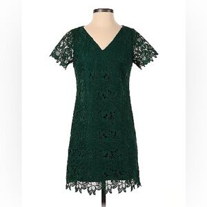 Ann Taylor Forest Green Lace Dress Size 12P